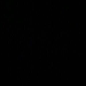 Meet your Posher, Georgia